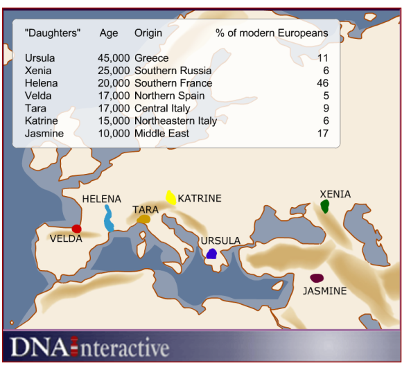 Transfer Your Dna Test Data To Family Tree Dna And Save Almost 50 Abundant Genealogy